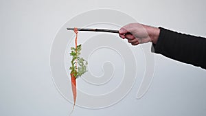 Carrot and stick reward and punishment concept