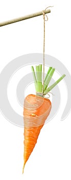 Carrot on a string