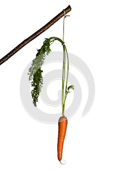 Carrot to stick as motivation for eating fruit