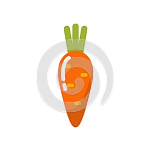 Carrot vector icon