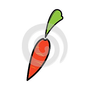 Carrot vector icon. Carrot icon isolated on white background. Veg icon illustration. Carrot, vector flat style.