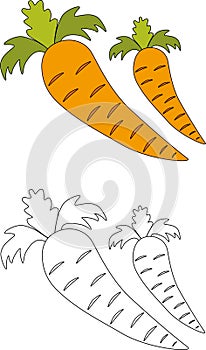 Carrot vegetable coloring page for education