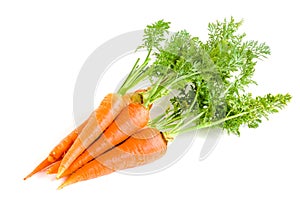 Carrot vegetable with leaves isolated on white background