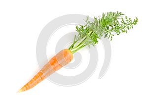 Carrot vegetable with leaves isolated on white background