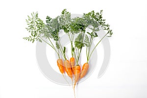 Carrot vegetable with leaves isolated on white background cutout