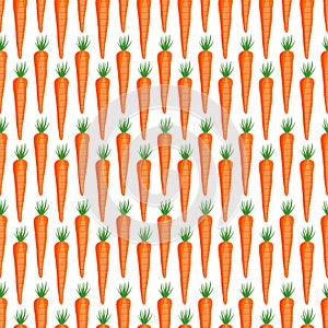 Carrot vegetables seamless pattern on white background, Healthy ingredients food