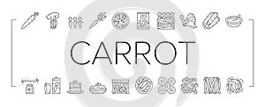 Carrot Vitamin Juicy Vegetable Icons Set Vector