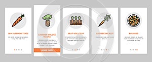 Carrot Vitamin Juicy Vegetable Onboarding Icons Set Vector