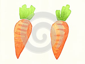 Carrot watercolor clip art on white background drawing illustration