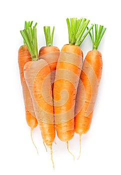Carrot on white. Fresh ripe vegetables. Top view