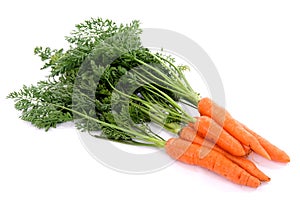 Carrots_02 photo