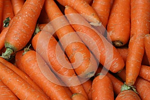 Carrots