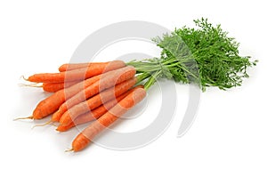 Una zanahoria 