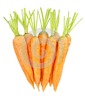 Carrots