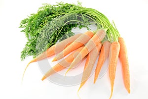 Carrots photo