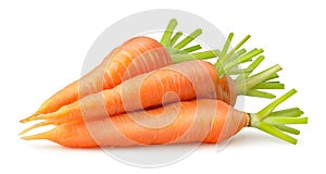 Isolated carrots photo