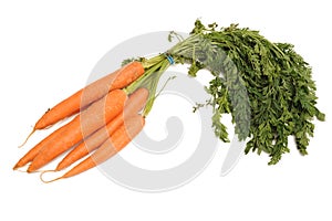 Carrots