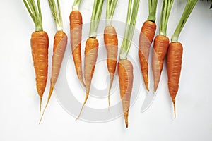 Carrots