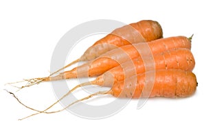 Carrots