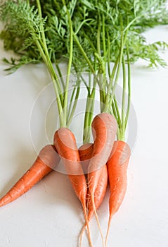 Carrots