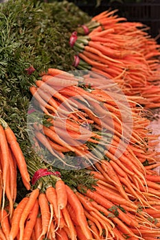 Carrots.