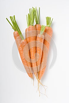 Carrots photo