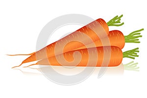 Carrots