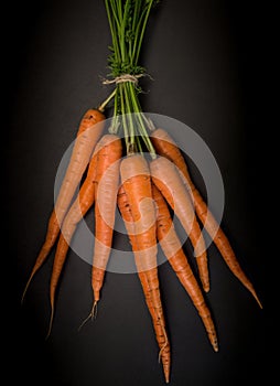 Carrots on a black background