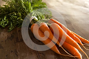 Carrots bunch