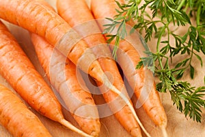 Carrots closeup