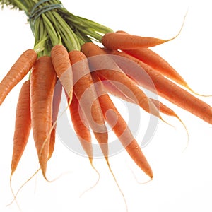 CARROTS daucus carota AGAINST WHITE BACKGROUND