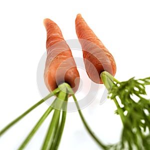 Carrots, daucus carota, Vegetables against White Background