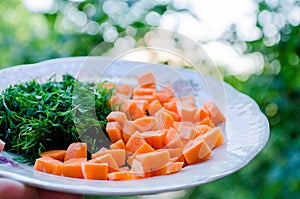 Carrots and dill. Healthy food. Vegetables. Orange and green. Vegetables for proper nutrition. Vegetables on the plates. Diced car