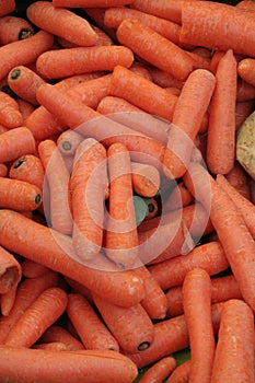 Carrots everywhere