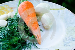 Carrots, garlic and dill. Orange and green. Greens and root vegetable. Healthy diet. Proper nutrition. Vegetables. Natural product