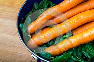 Carrots and Greens From The Graden