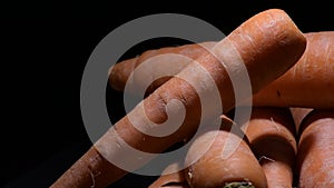 Carrots gyrating on black background. Daucus carota