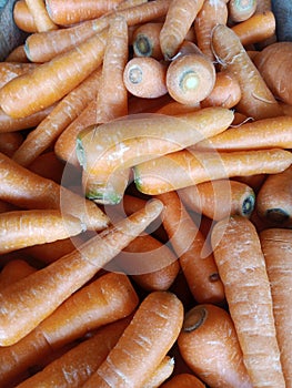 Carrots that have have good oren colors and liked everyone because they have a nutritional