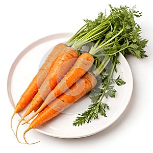 Carrots Icon Isolated on White Background