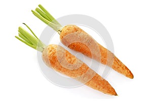 Carrots isolated on white background, top view. Two fresh raw carrots on a white plate. Isolated carrots, top view. Two fresh