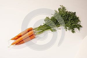 Carrots - Karotten