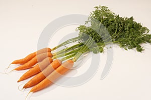 Carrots - Karotten photo