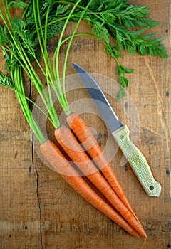 Carrots and Knife on Wood