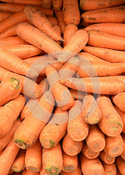 Carrots