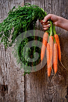 Carrots with leaves