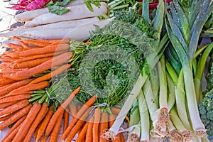 Carrots, leeks and herbage photo