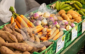 Carrots and potatoes on display at farmers market, fresh and healthy