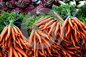 Carrots and Radicchio