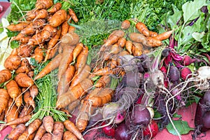 Carrots, radish and beetroot