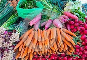 Carrots, radish and herbage